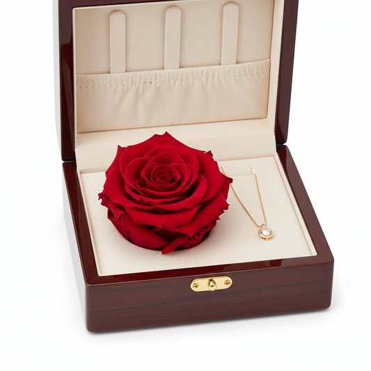 Red rose in an open wooden box with a necklace on a white background